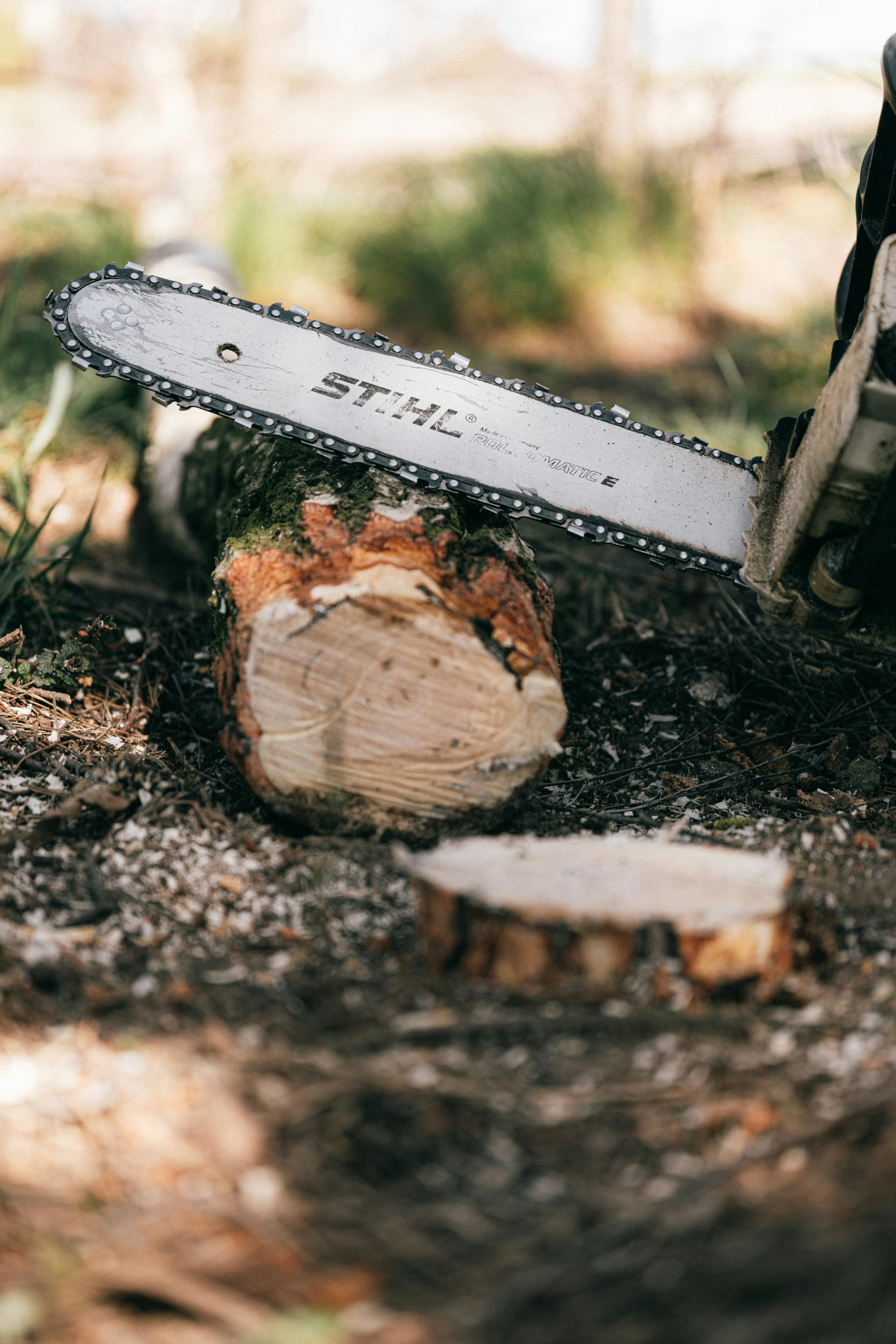 Stihl Akku Kettensäge in der Landschaft